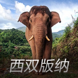 谁高谁低？美媒评历史前25中投手：乔丹、KD、科比前三
